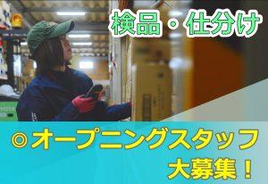 検品・仕分け
オープニングスタッフ大募集